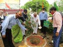 Plantation by Honable M.P.Sh.Ramcharan Bohra 