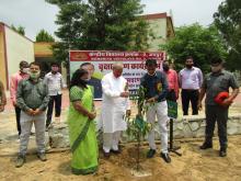 Plantation by Sh.Mukesh kumar,AC(KVS RO,Jaipur)